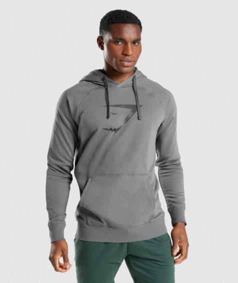 Men's Gymshark Sharkhead Infill Hoodie Grey | CA 6N0153